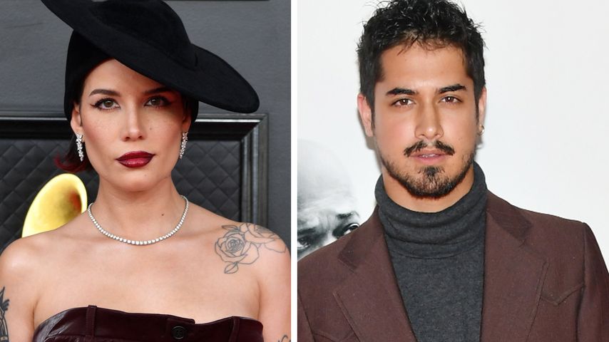 Liebes-Gerüchte: Halsey und Avan Jogia zusammen im Netz!