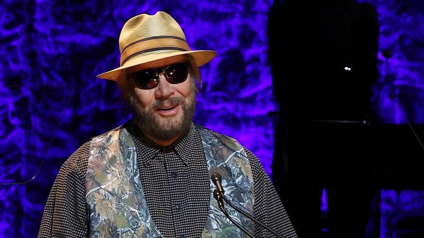 Hank Williams Jr., Musiker