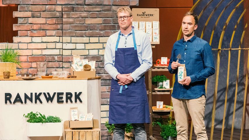 Kein Löwen-Deal für Rankwerk: Sind die Gründer enttäuscht?