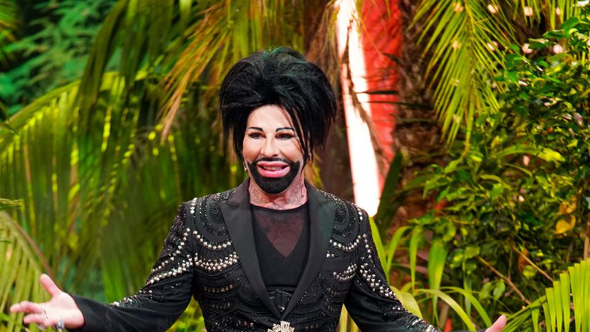 Harald Glööckler zu Gast im Dschungelshow-Finale