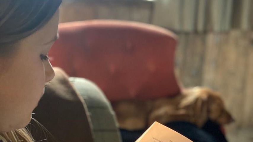 Harper Seven Beckham im Mai 2020