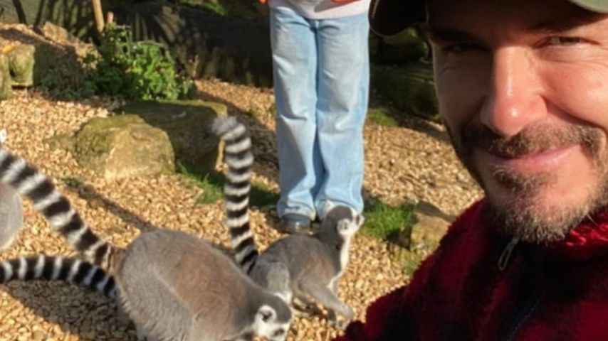 Harper Seven und ihr Vater David Beckham im Oktober 2020