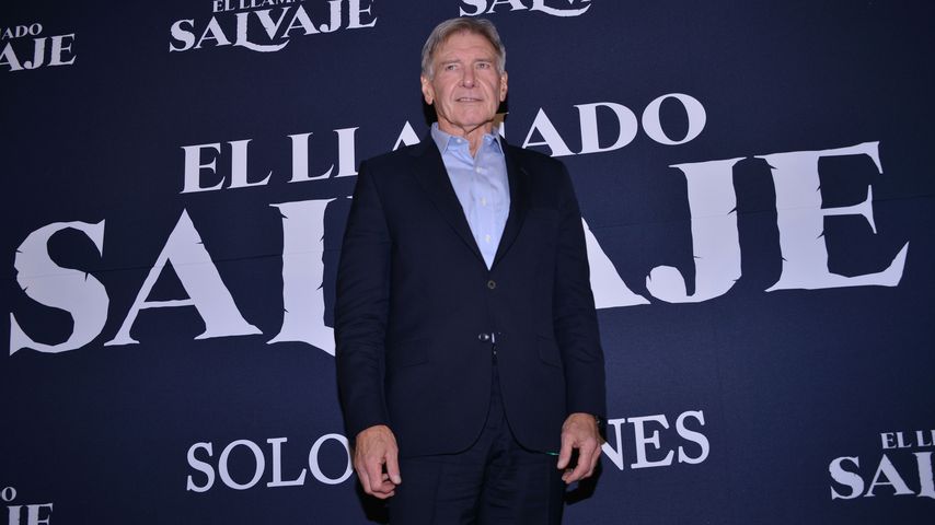 Schauspieler Harrison Ford