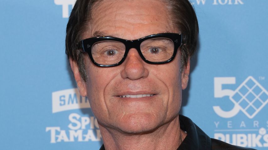 Harry Hamlin, Schauspieler