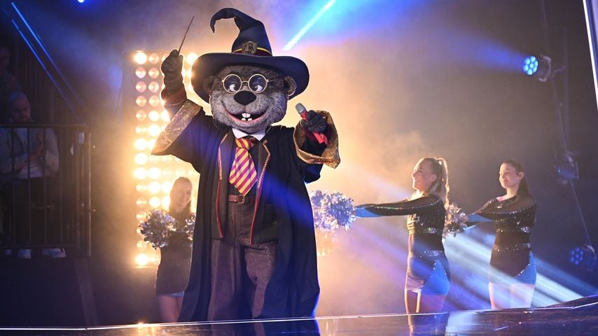 "The Masked Singer"-Aus: Er steckte unter Harry-Otter-Kostüm