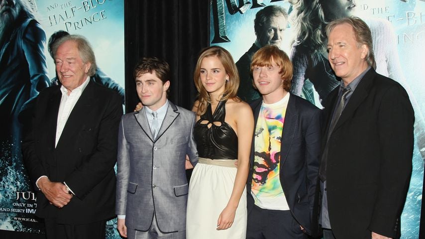 "Harry Potter"-Stars Michael Gambon, Daniel Radcliffe, Emma Watson, Rupert Grint und Alan Rickman