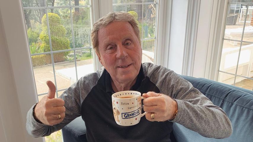 Babyfreude: UK-Dschungelkönig Harry Redknapp wird wieder Opa