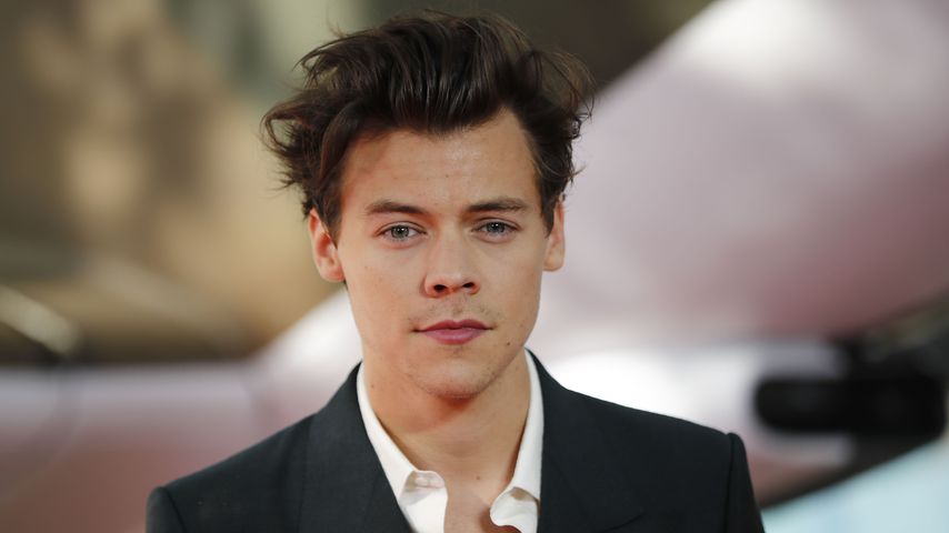 Harry trifft Harry: Der Prinz kommt zu Styles' Filmpremiere