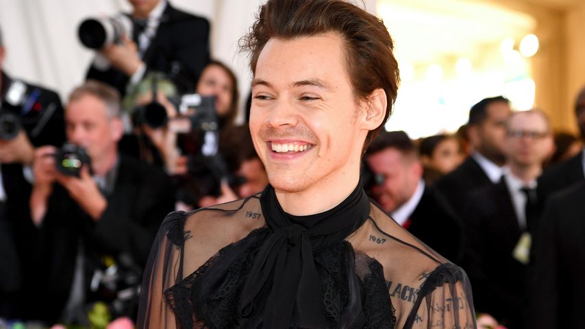 "Arielle"-Gerücht: Wäre Harry Styles ein guter Prinz Eric?