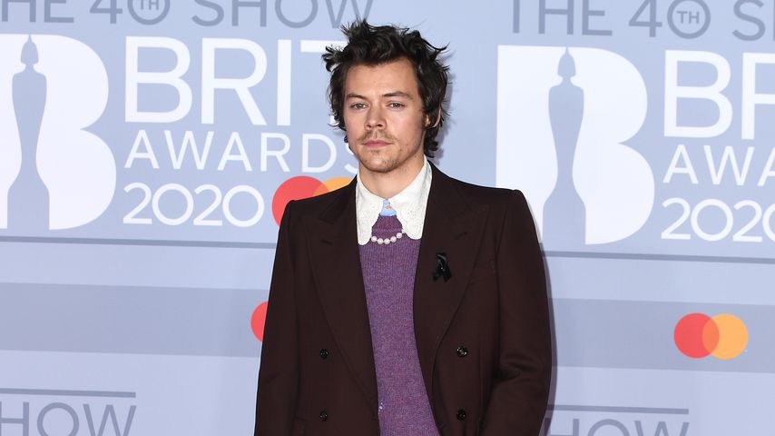 Sänger Harry Styles