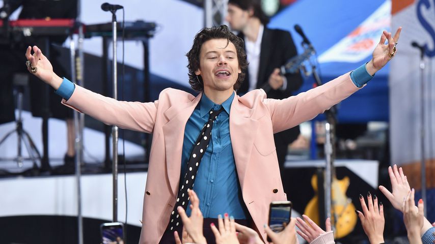 Sänger Harry Styles