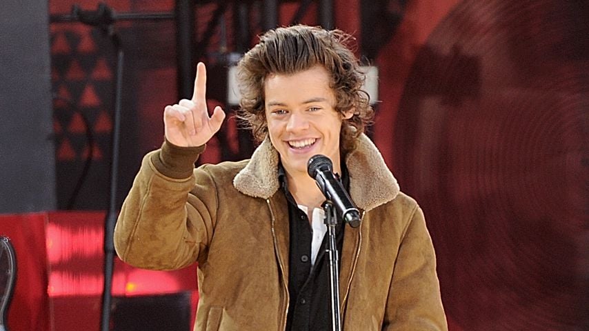 Musiker Harry Styles