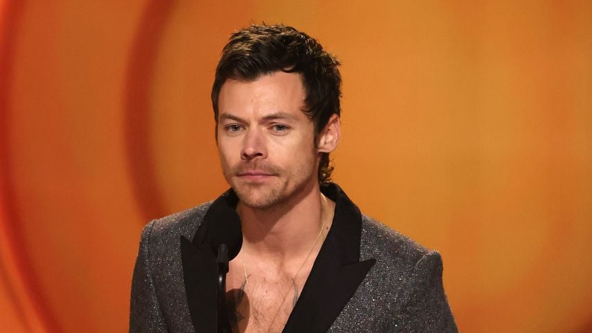 Harry Styles im Versace-Dschungelkleid: KI-Foto geht viral