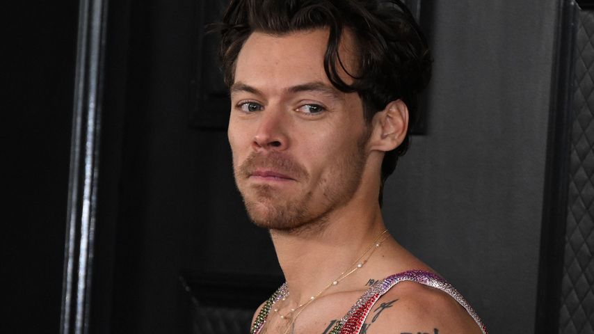 Datet Harry Styles jetzt dieses Victoria's-Secret-Model?
