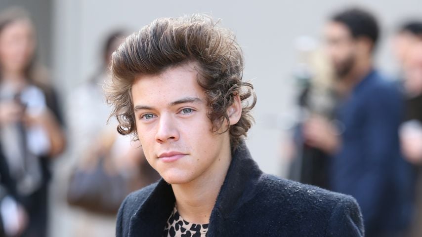 Musiker Harry Styles