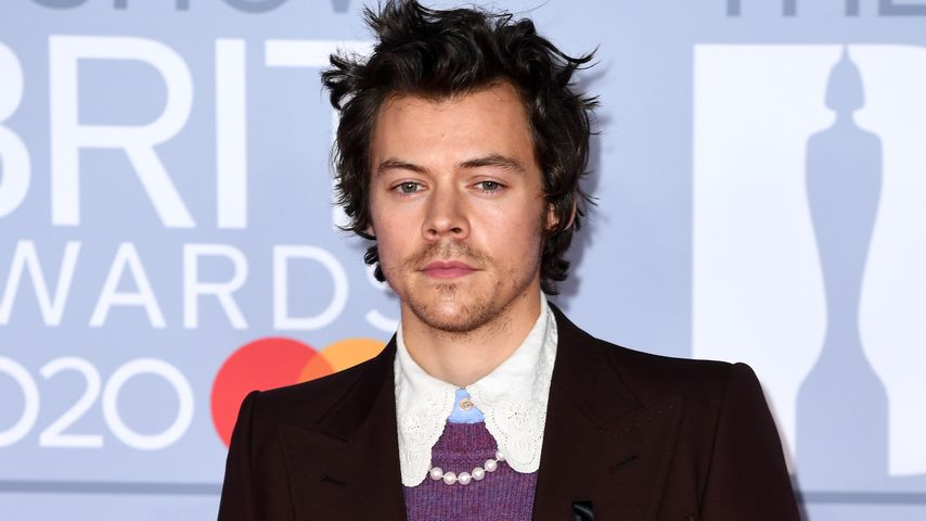 Der Sänger Harry Styles