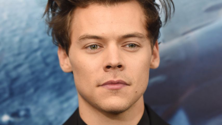 Nach Trennung: Kriegt Liam hier Support von Harry Styles?