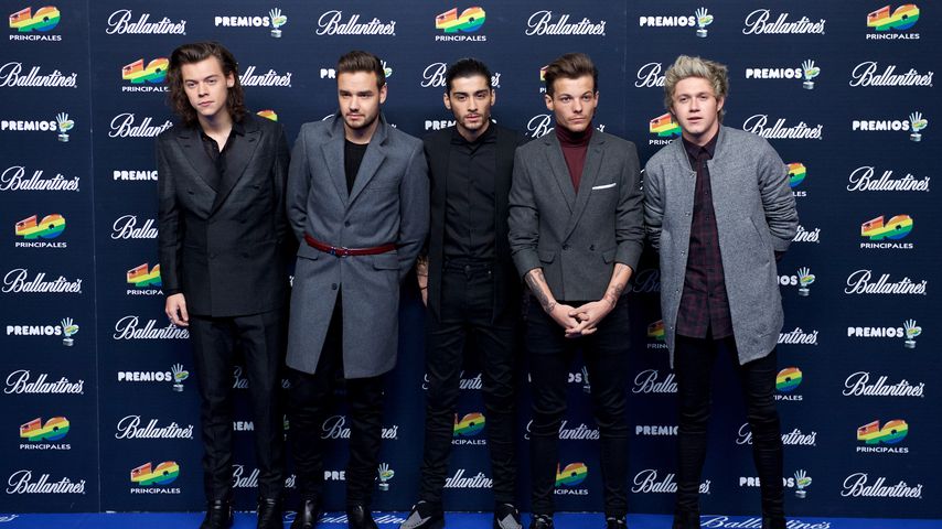 Lohnt's sich solo? So reich sind die Boys von One Direction
