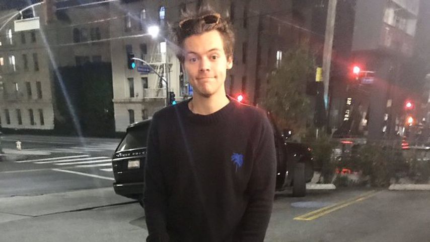 Harry Styles hat für Fremden auf dessen Hund aufgepasst
