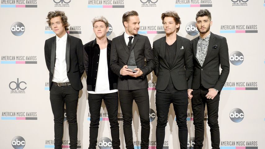 Darum gibt es keine Wiedervereinigung von One Direction