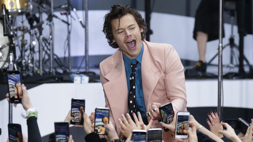 Fans können bald Tour durch Harry Styles' Heimatdorf buchen!