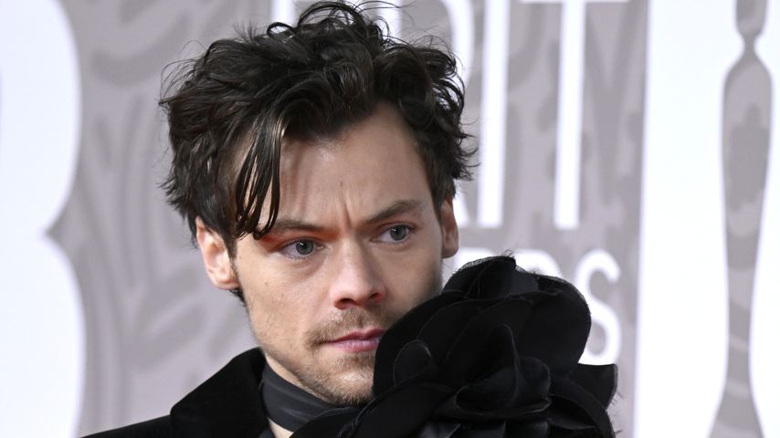 Harry Styles, Musiker