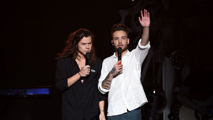 Harry Styles und Liam Payne im Dezember 2015