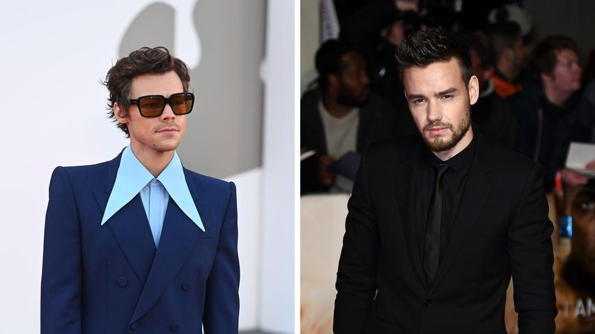 Collage: Harry Styles und Liam Payne
