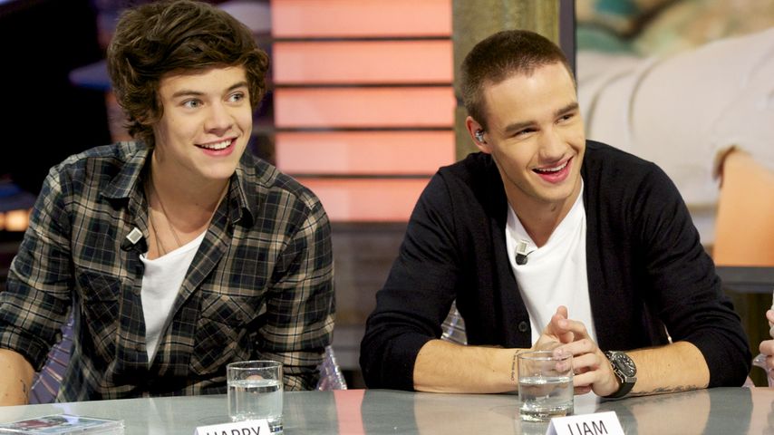 Harry Styles und Liam Payne