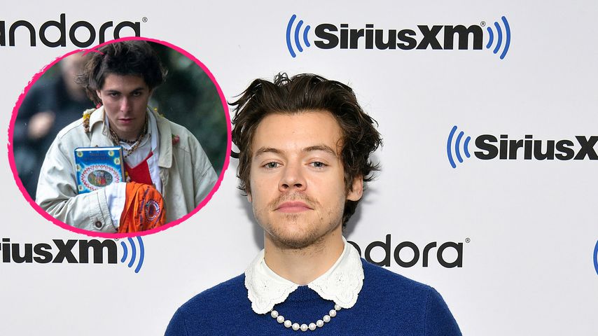 Nach Verurteilung: Harry Styles' Stalker erneut vor Gericht