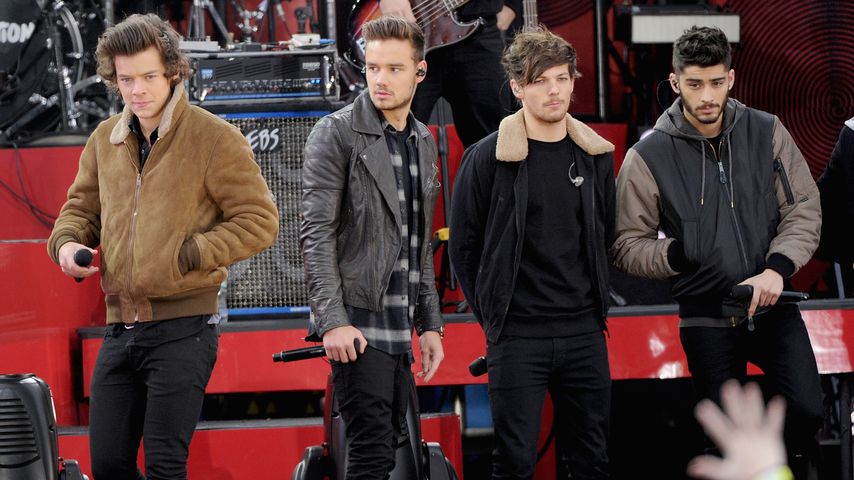 Harry Styles,Liam Payne, Louis Tomlinson und Zayn Malik im November 2013