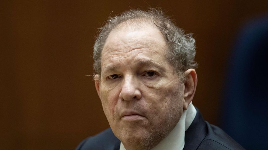 Harvey Weinstein, Filmproduzent