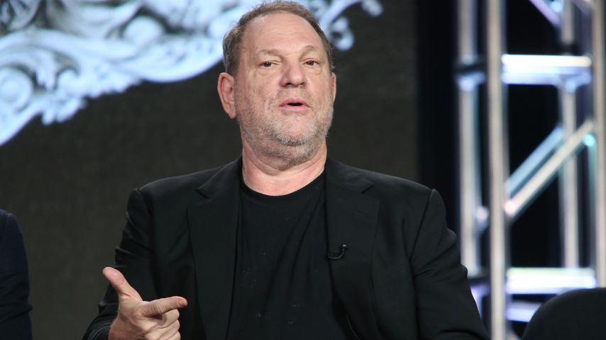 "Good Wife"-Star: Horror-Begegnungen mit Weinstein & Seagal