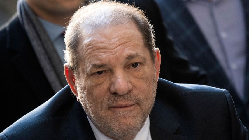 Harvey Weinstein, Produzent