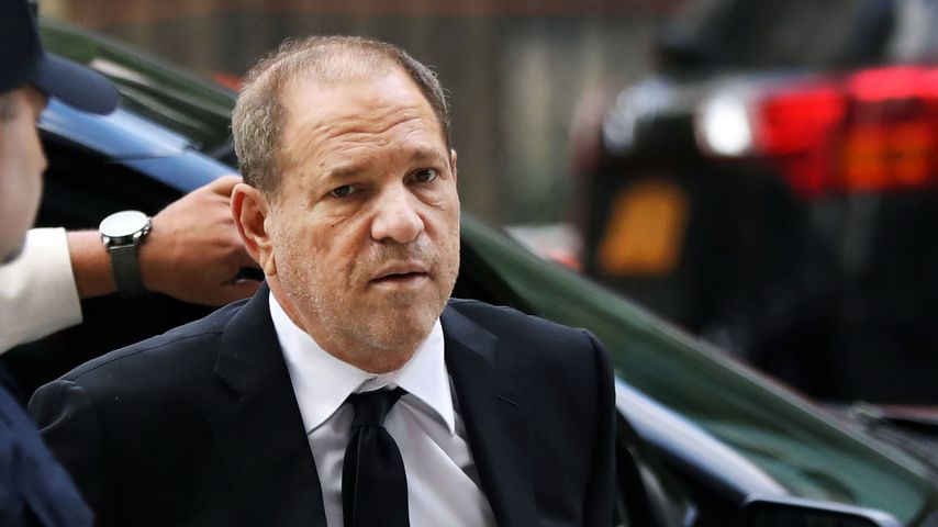 Harvey Weinstein, Regisseur