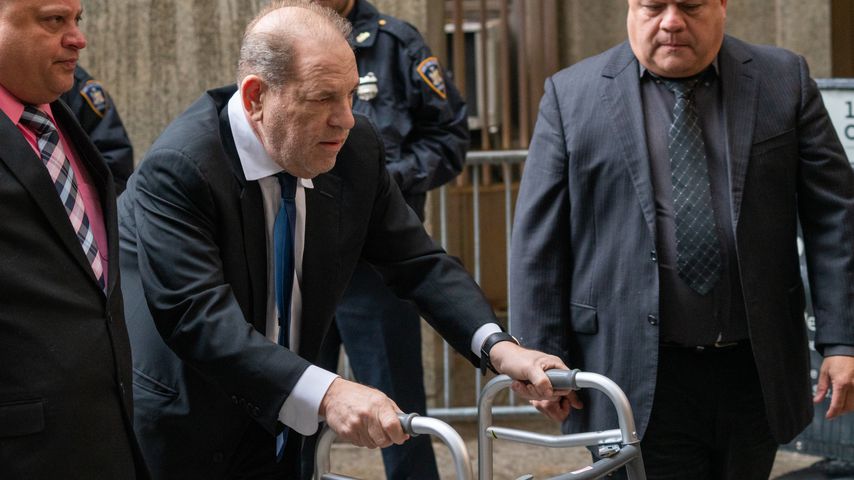 Harvey Weinstein, Dezember 2019