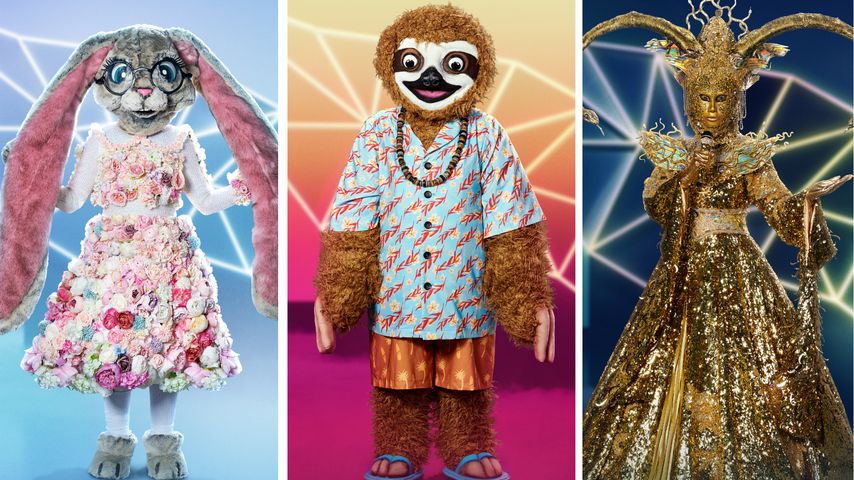 Neue "The Masked Singer"-Kostüme: Wer ist euer Favorit?