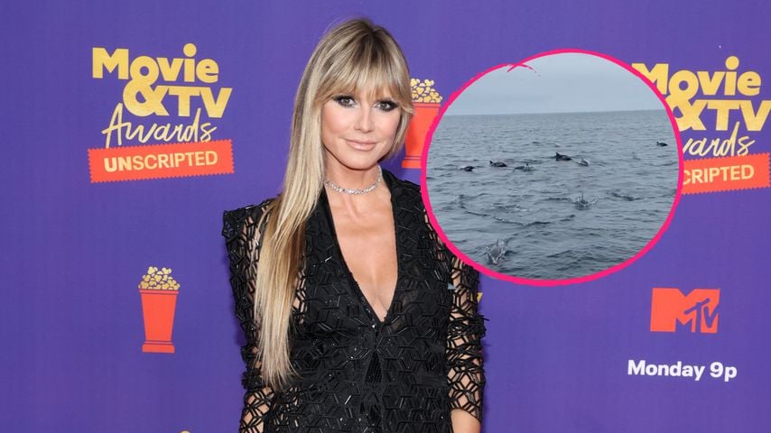 Delfin-Watching: So verbrachte Heidi Klum ihren Geburtstag