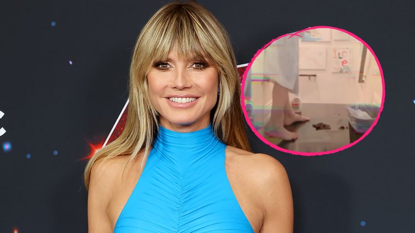 Geht das zu weit? Heidi Klum zeigt Kot ihrer Hunde im Netz