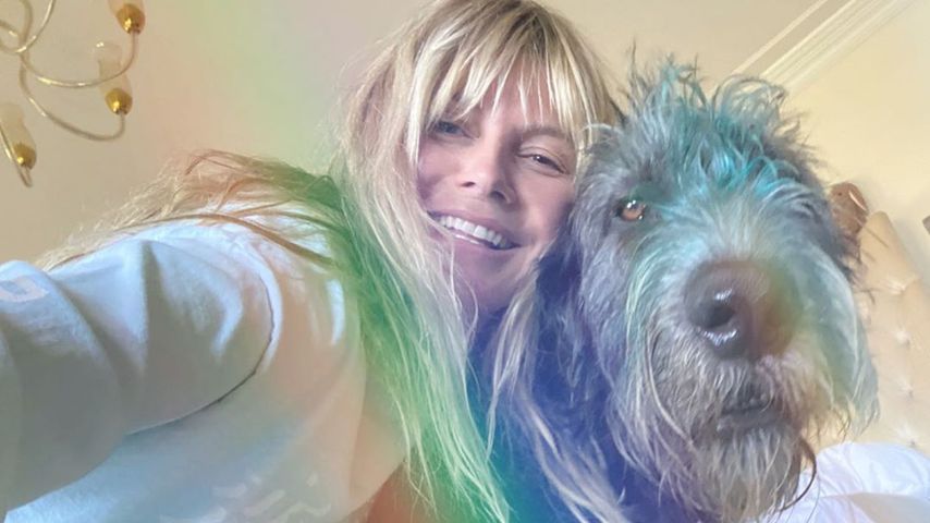 Heidi Klum mit ihrem Hund Anton im Juli 2020