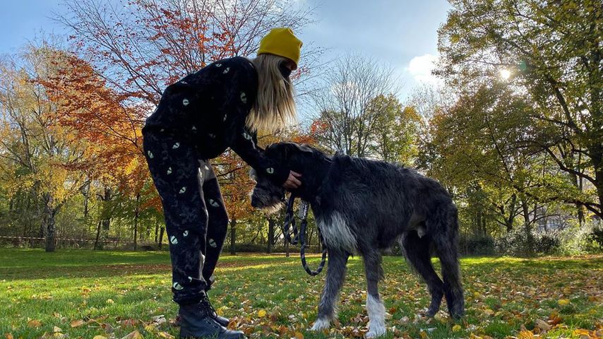 Heidi Klum mit ihrem Hund Anton in Berlin im November 2020