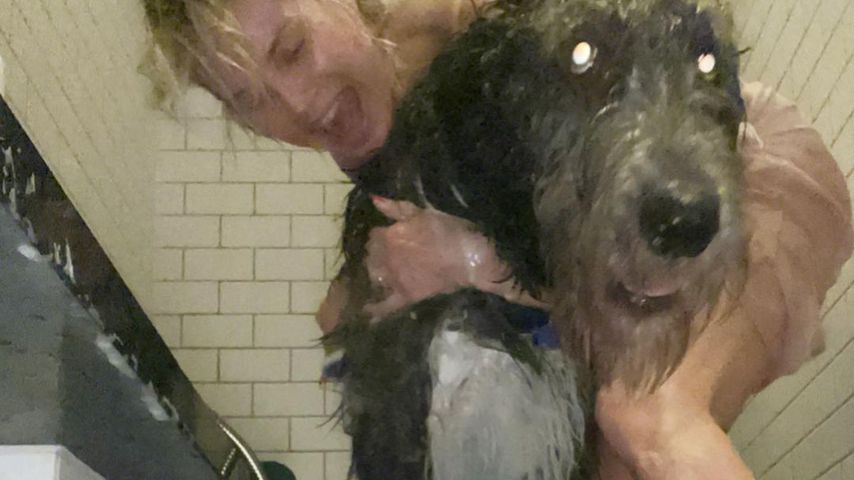 Privater Einblick: Heidi Klum in der Dusche mit ihren Hunden