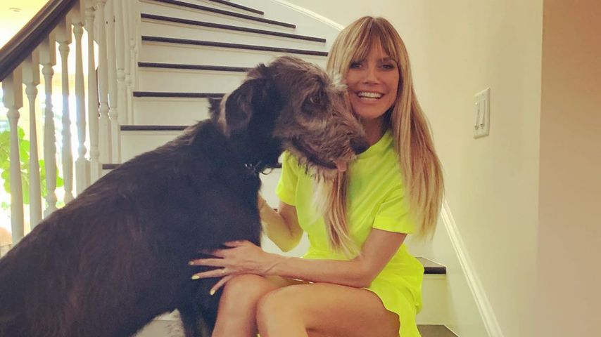 Heidi Klum, 2019