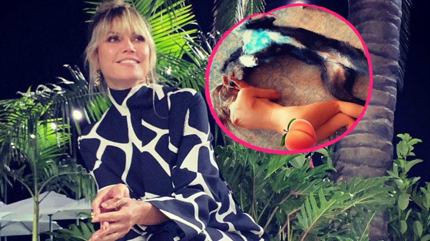 Mit Hund Anton: Heidi Klum wälzt sich nackt auf dem Fußboden