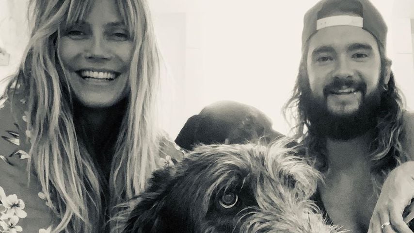 Sieben Monate: Heidi und Tom feiern "Welpen"-Geburtstag