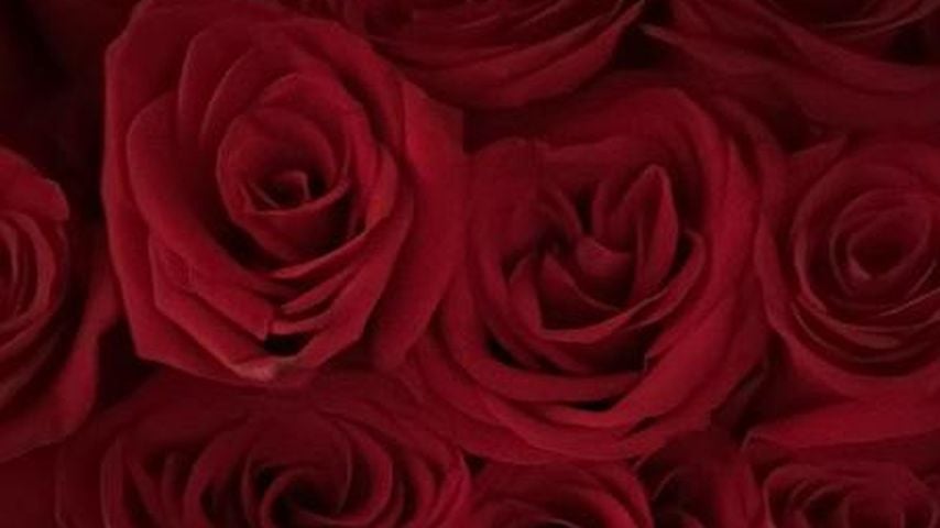Heidi Klums Blumenstrauß am Valentinstag 2024