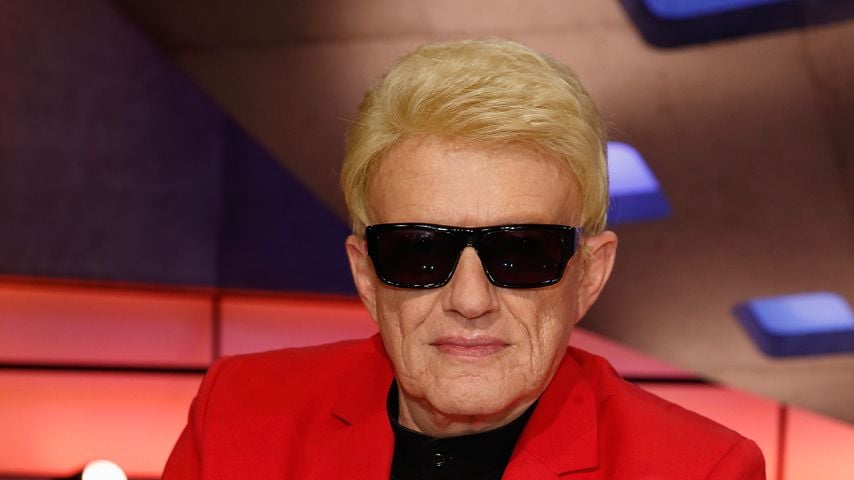 Heino, Schlagersänger