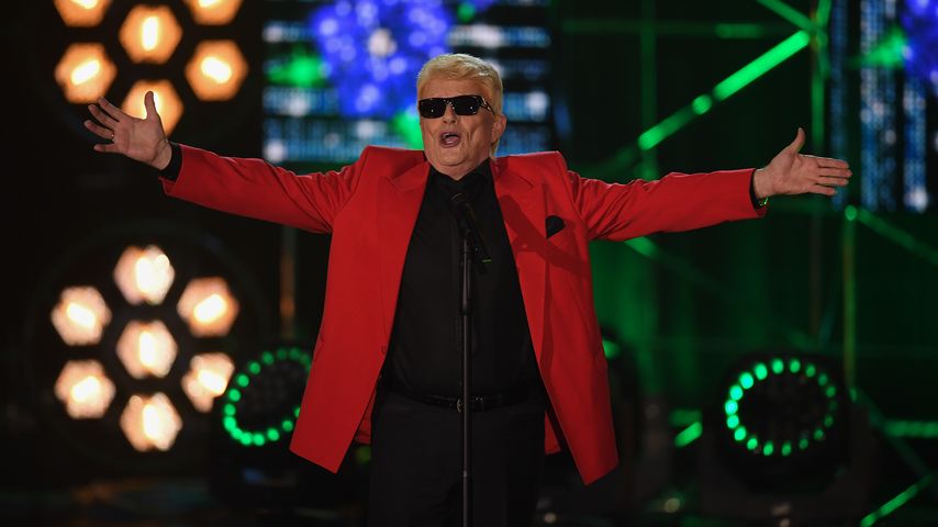 Heino, Schlagermusiker