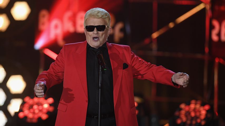 Heino, Musiker