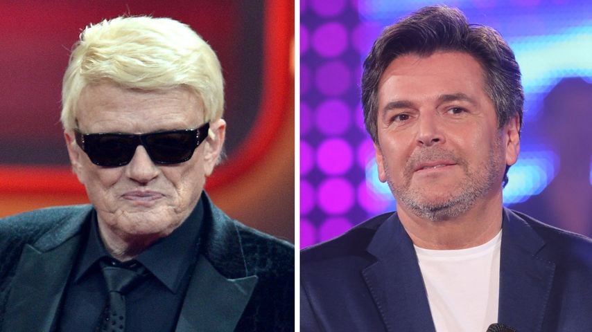 Darum sind Heino und Thomas Anders in den USA erfolgreich